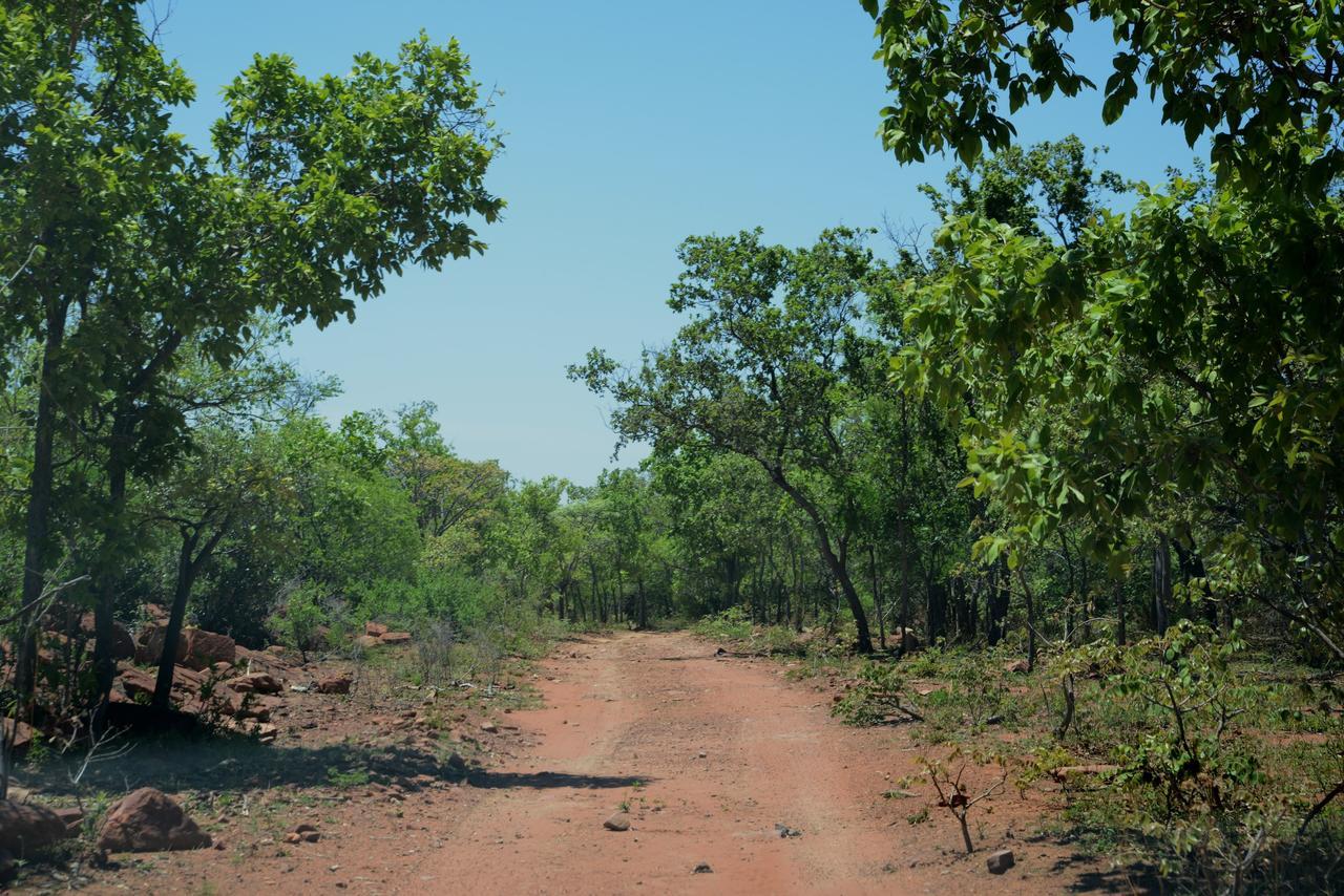 Birdsong Cottages Modimolle Buitenkant foto